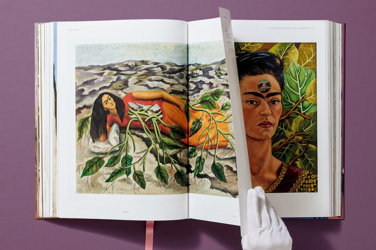 Frida Kahlo. The Complete Paintings (English)