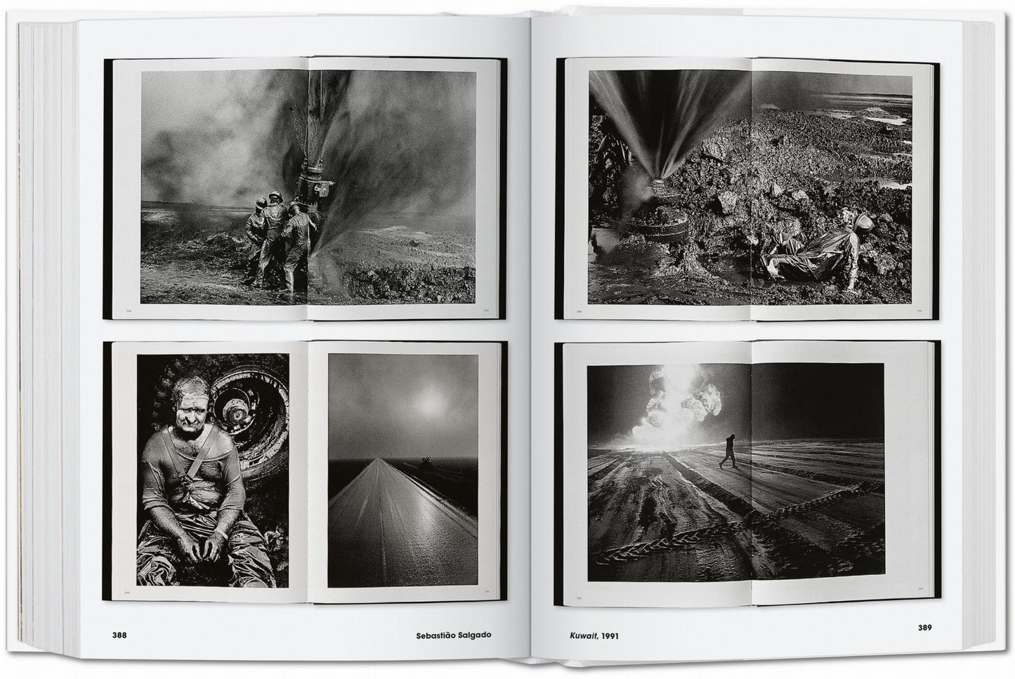 Photo Icons. 50 Landmark Photographs and Their Stories (English)