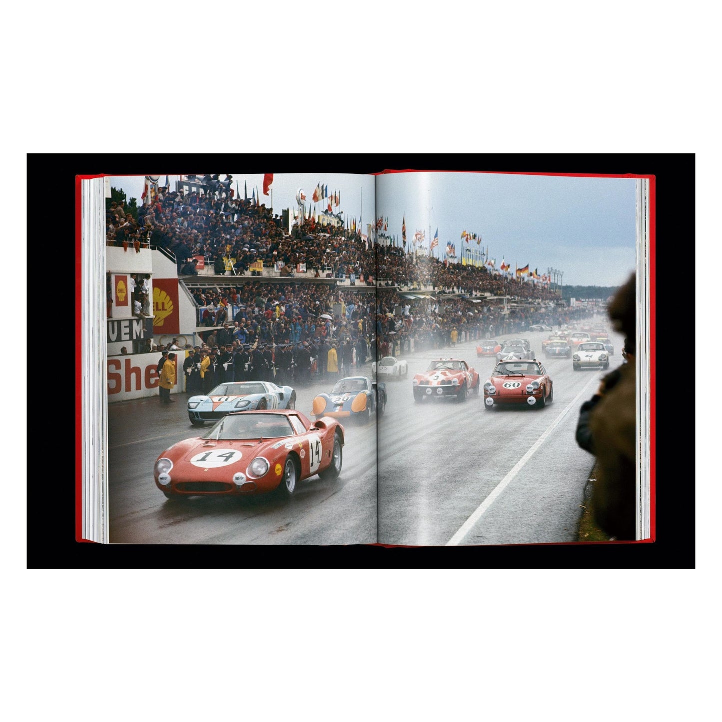 Ferrari (English)