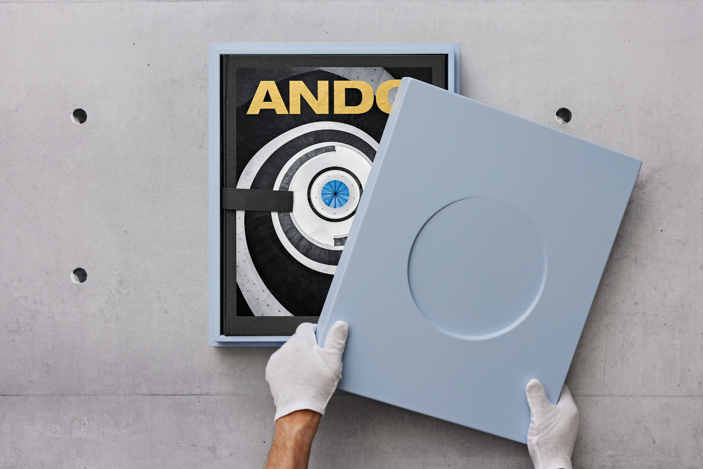 Ando. Complete Works 1975–Today. Art Edition (German, French, English) (SA)