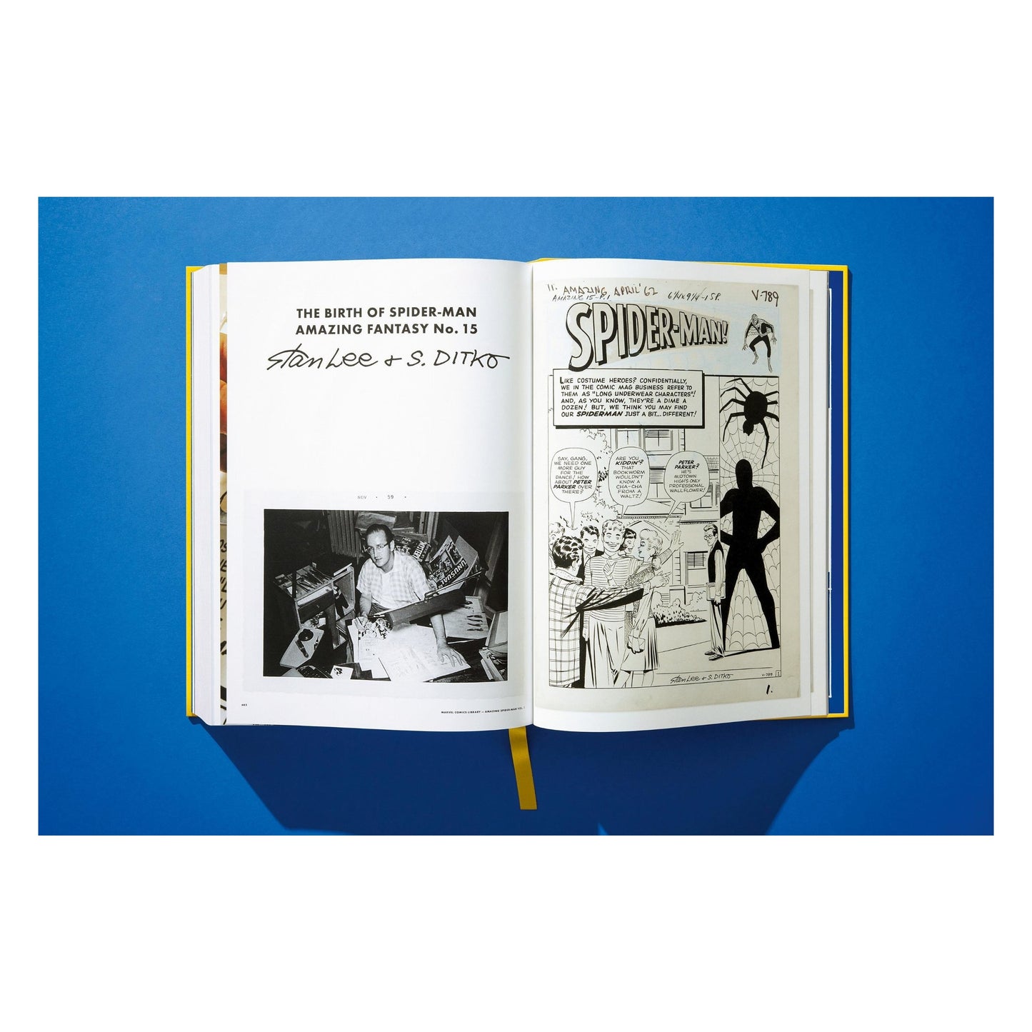 Marvel Comics Library, Spider-Man, Vol. 1, 1962-1964 (English) (AP)