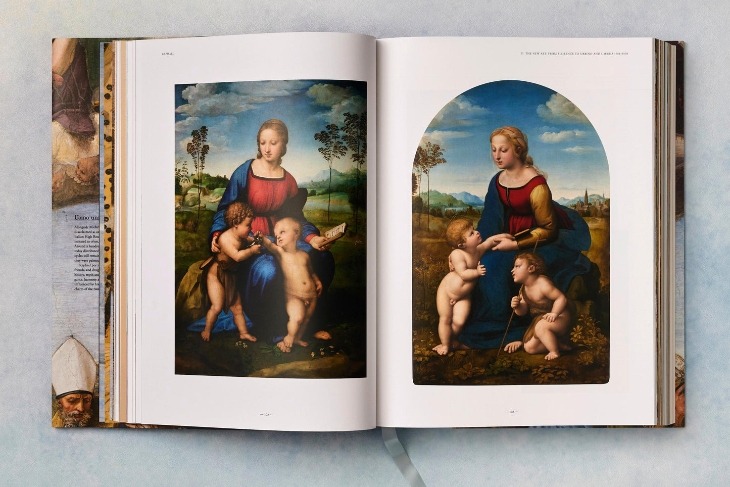 Raphael. The Complete Works. Paintings, Frescoes, Tapestries, Architecture (English)