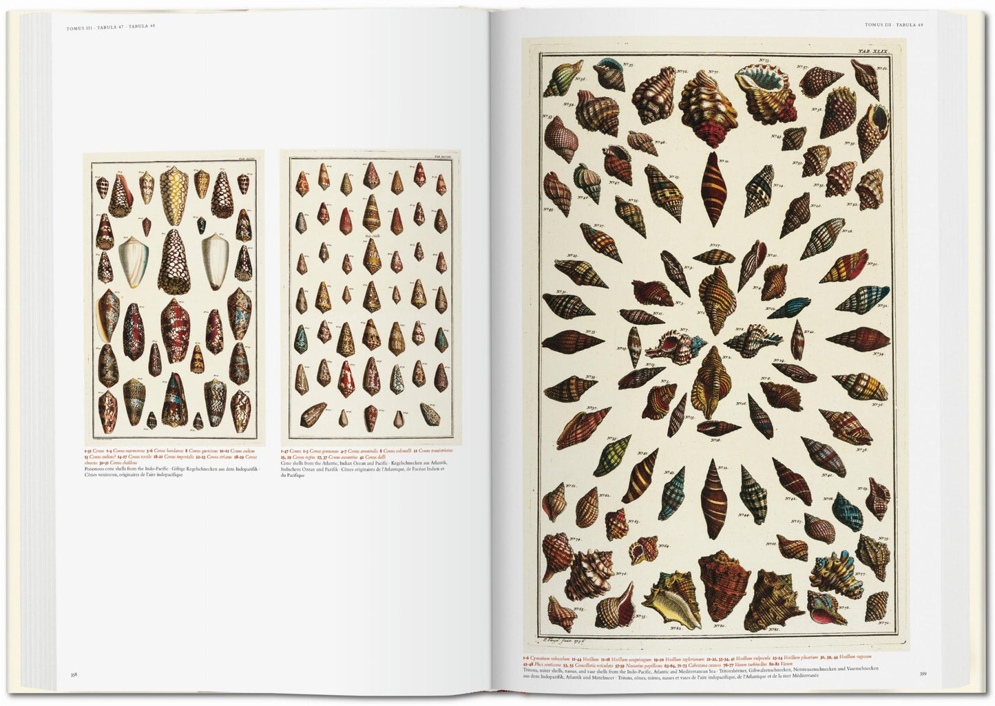 Seba. Cabinet of Natural Curiosities (German, French, English)