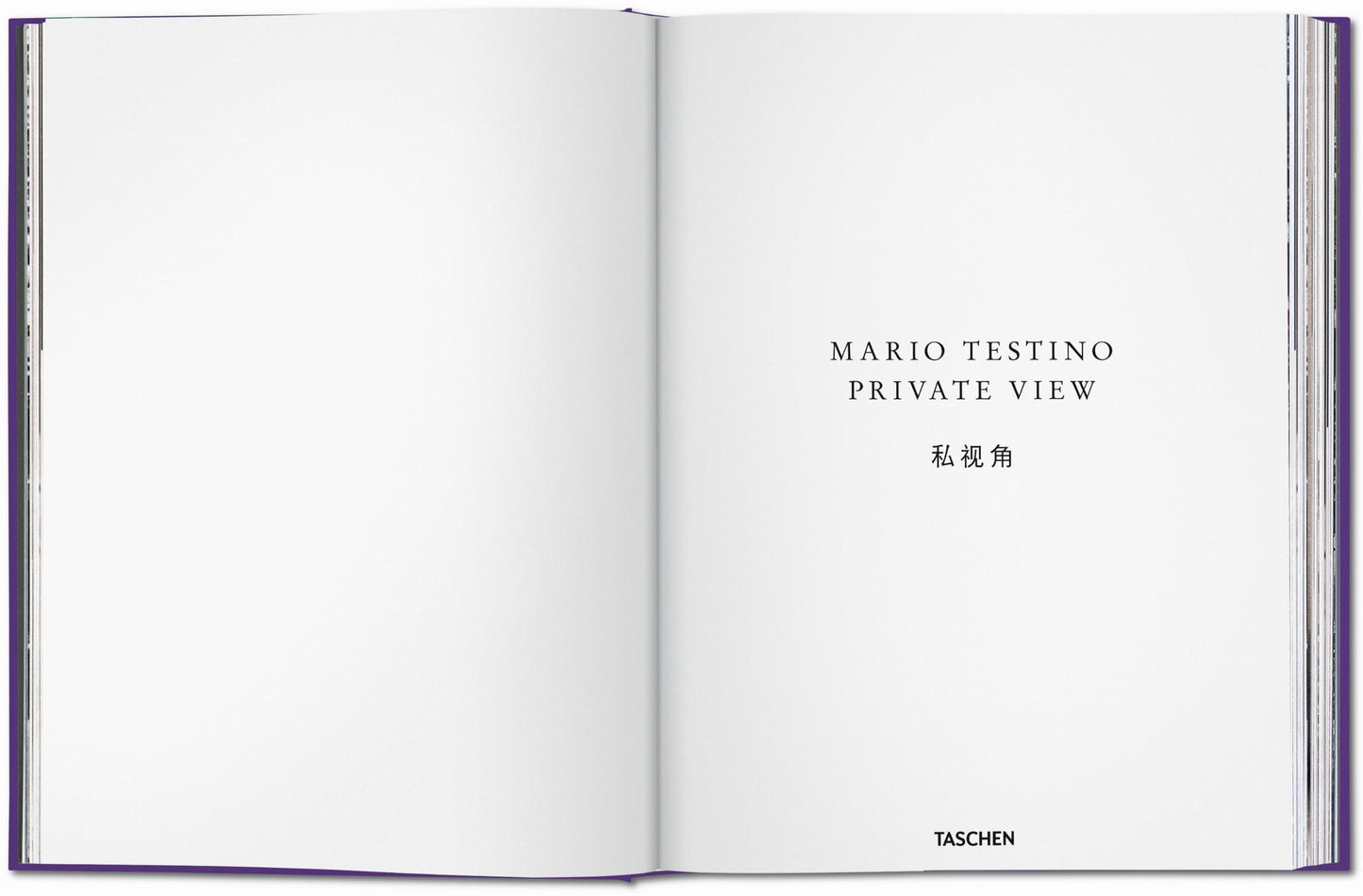 Mario Testino. Private View (English, Chinese)