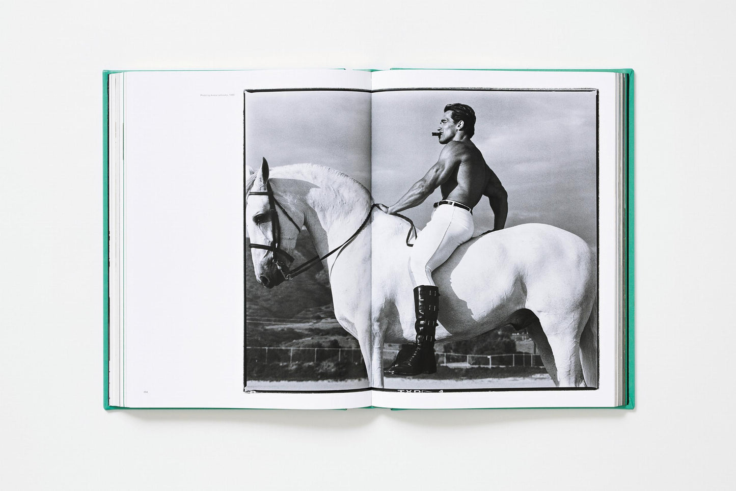 ARNOLD. Annie Leibovitz Art Edition (English)