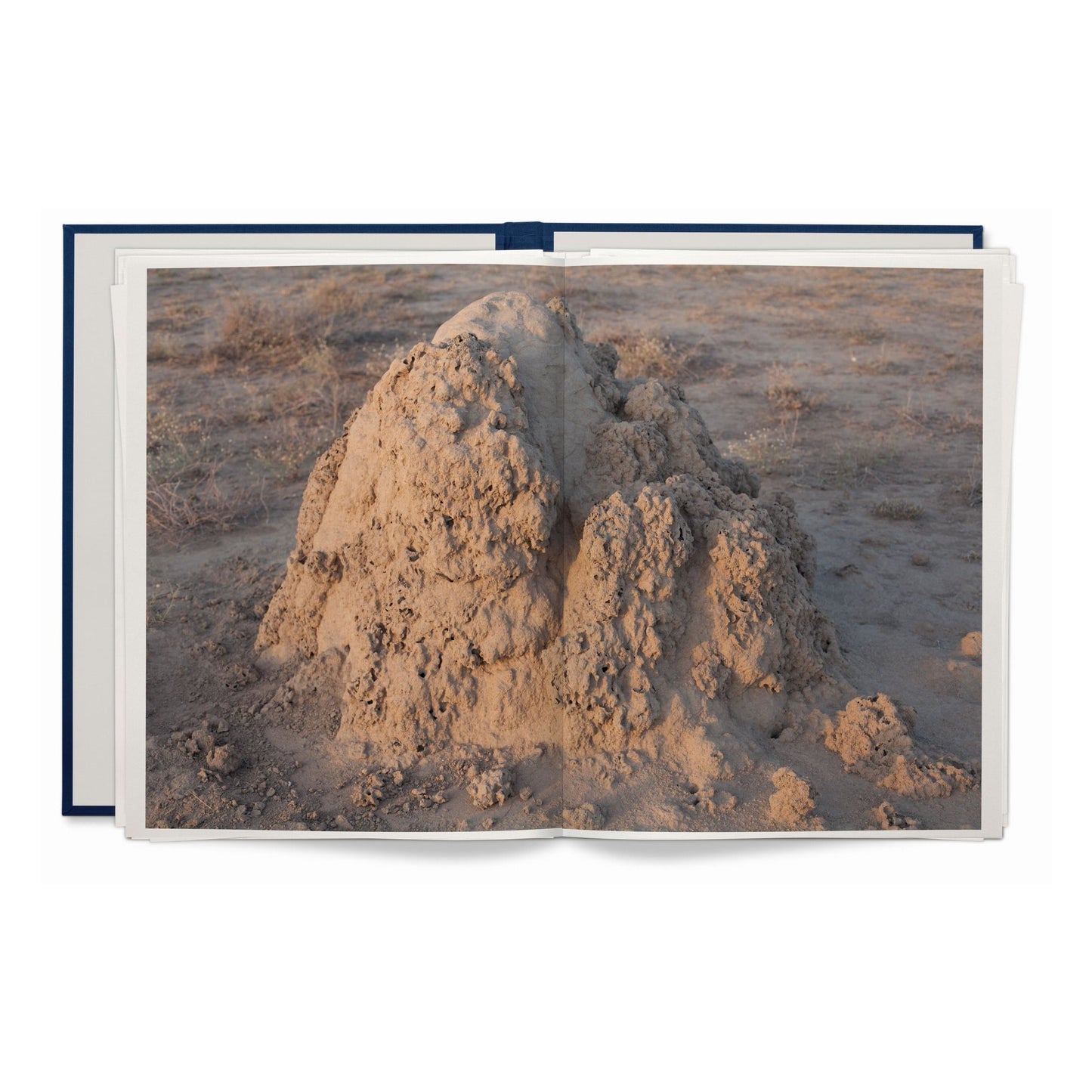 Wolfgang Tillmans. Neue Welt. Art Edition (German, French, English) (AP)