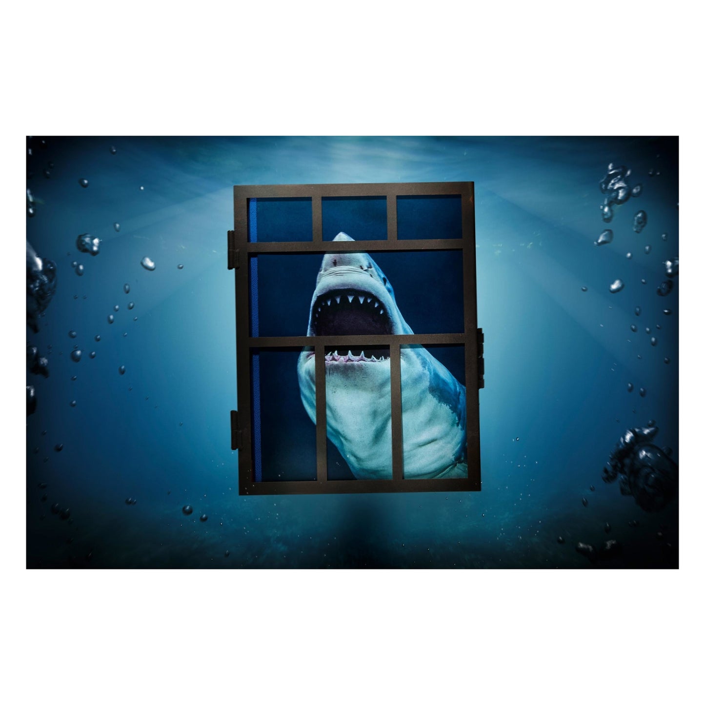 Michael Muller. Sharks (English) (AP)