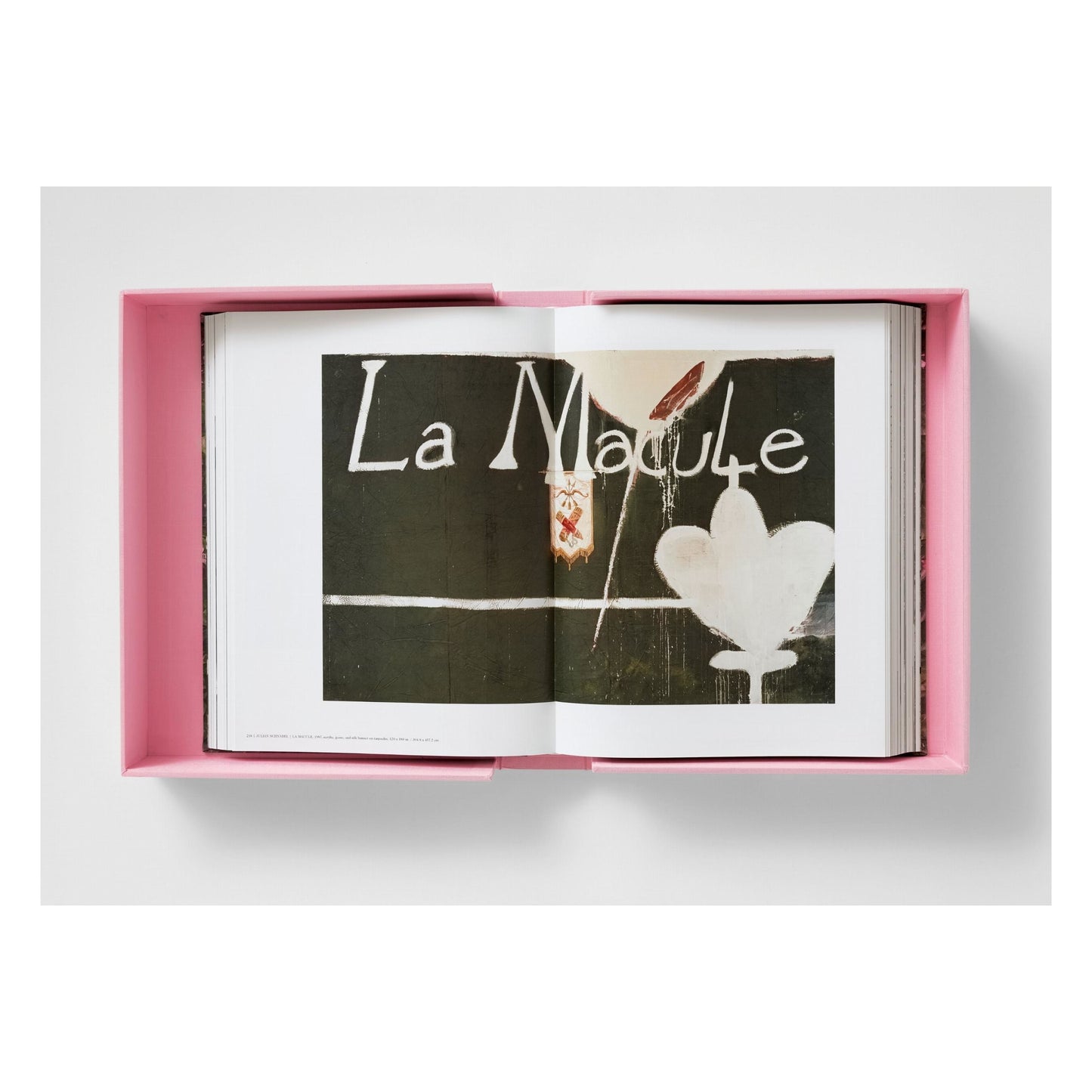 Schnabel (German, French, English) (AP)