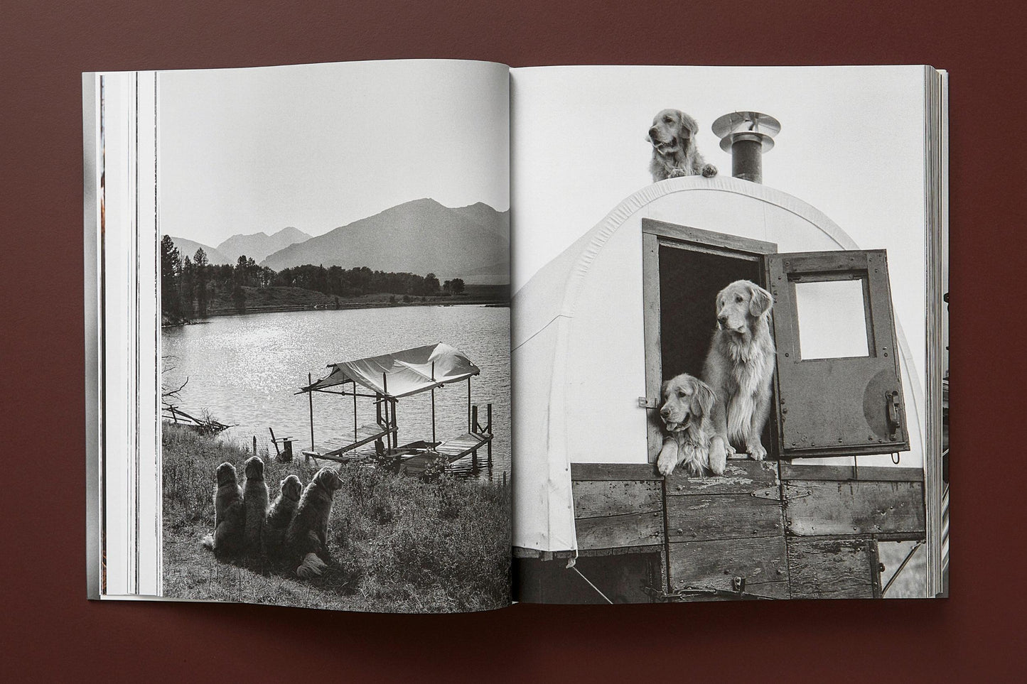 Bruce Weber. The Golden Retriever Photographic Society. Art Edition No. 1–100 ‘Little Bear Ranch, Montana, 1996’ (German, French, English) (SA)