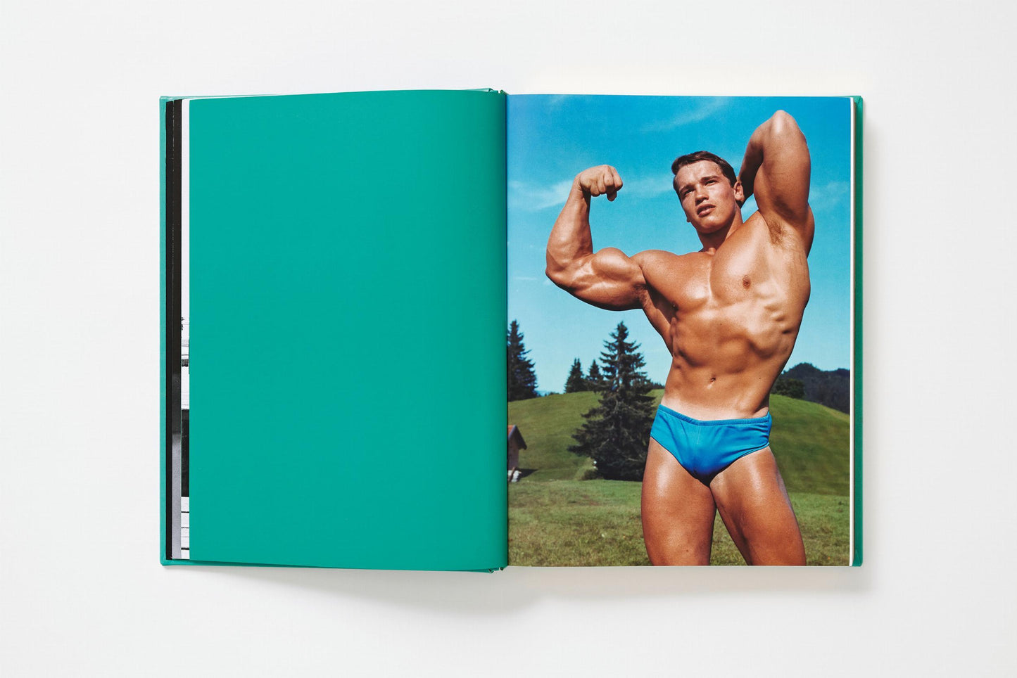 ARNOLD. Annie Leibovitz Art Edition (English)