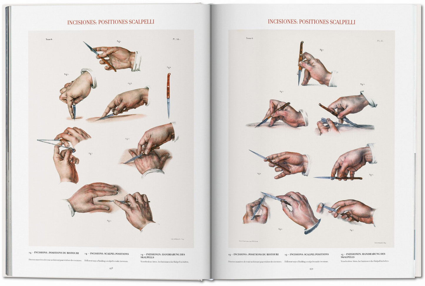 Bourgery. Atlas of Human Anatomy and Surgery (German, French, English)