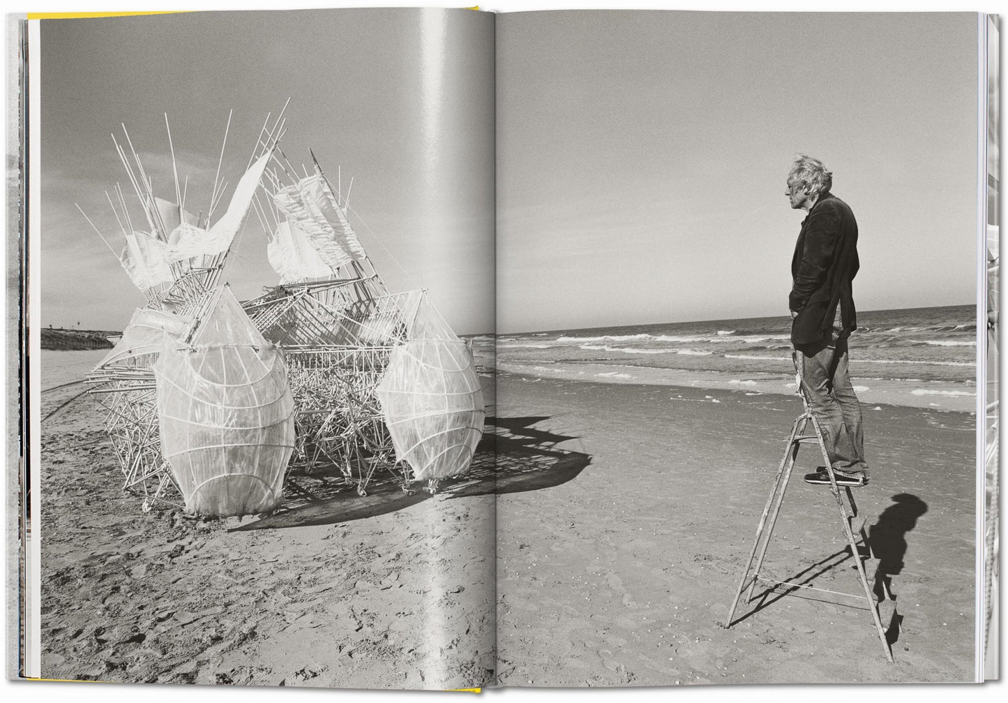 Strandbeest. The Dream Machines of Theo Jansen (German, French, English)