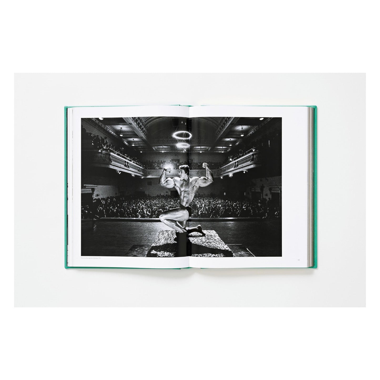 ARNOLD. Collector’s Edition (English)