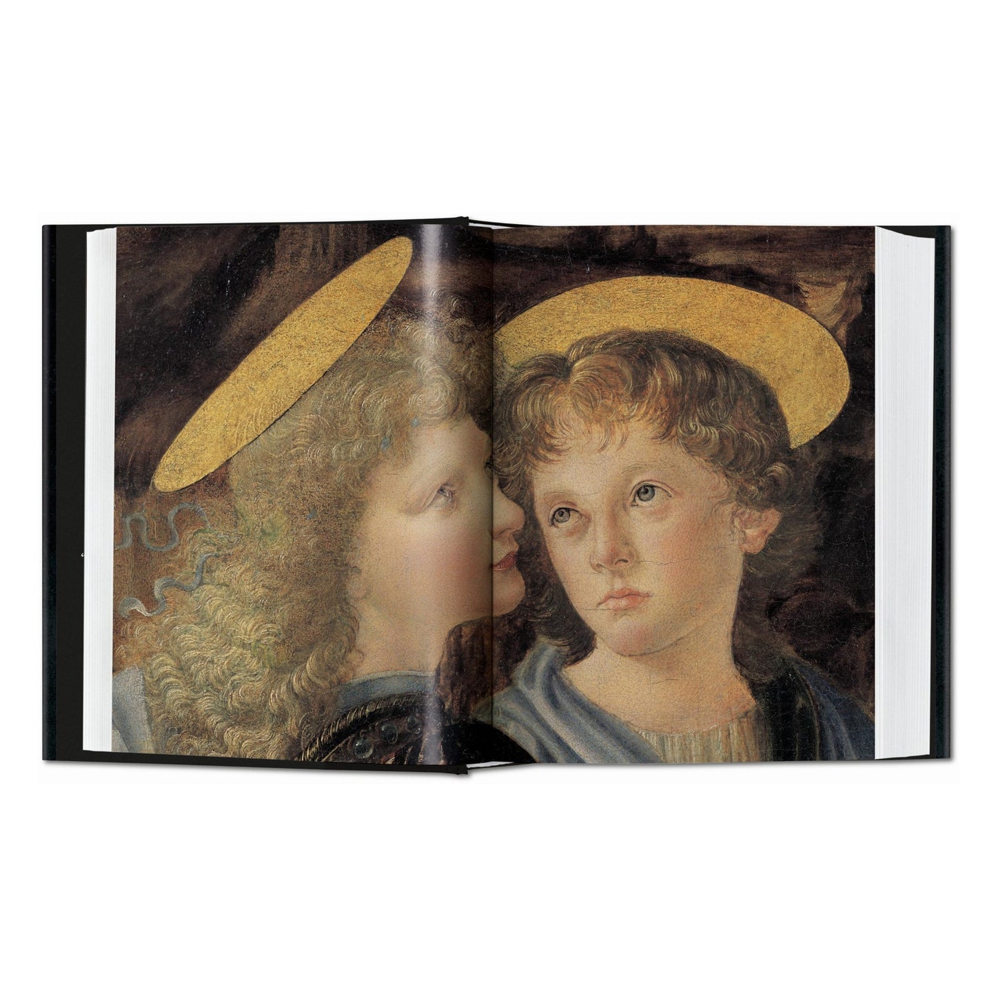 Leonardo. The Complete Paintings (English)