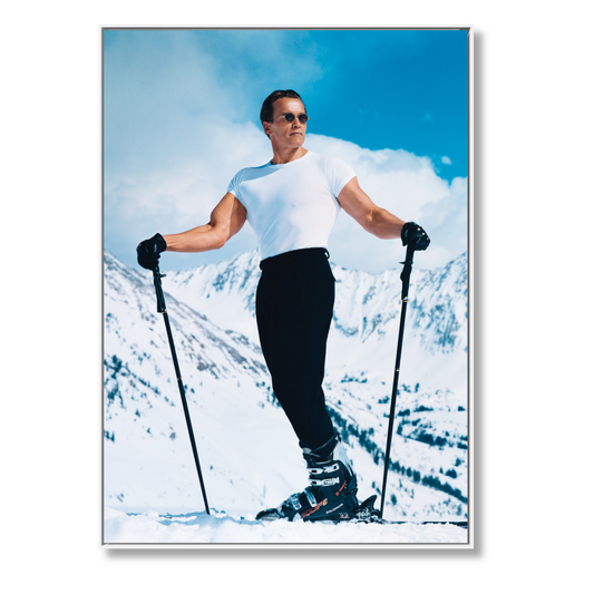 ARNOLD. Annie Leibovitz Art Edition (English)
