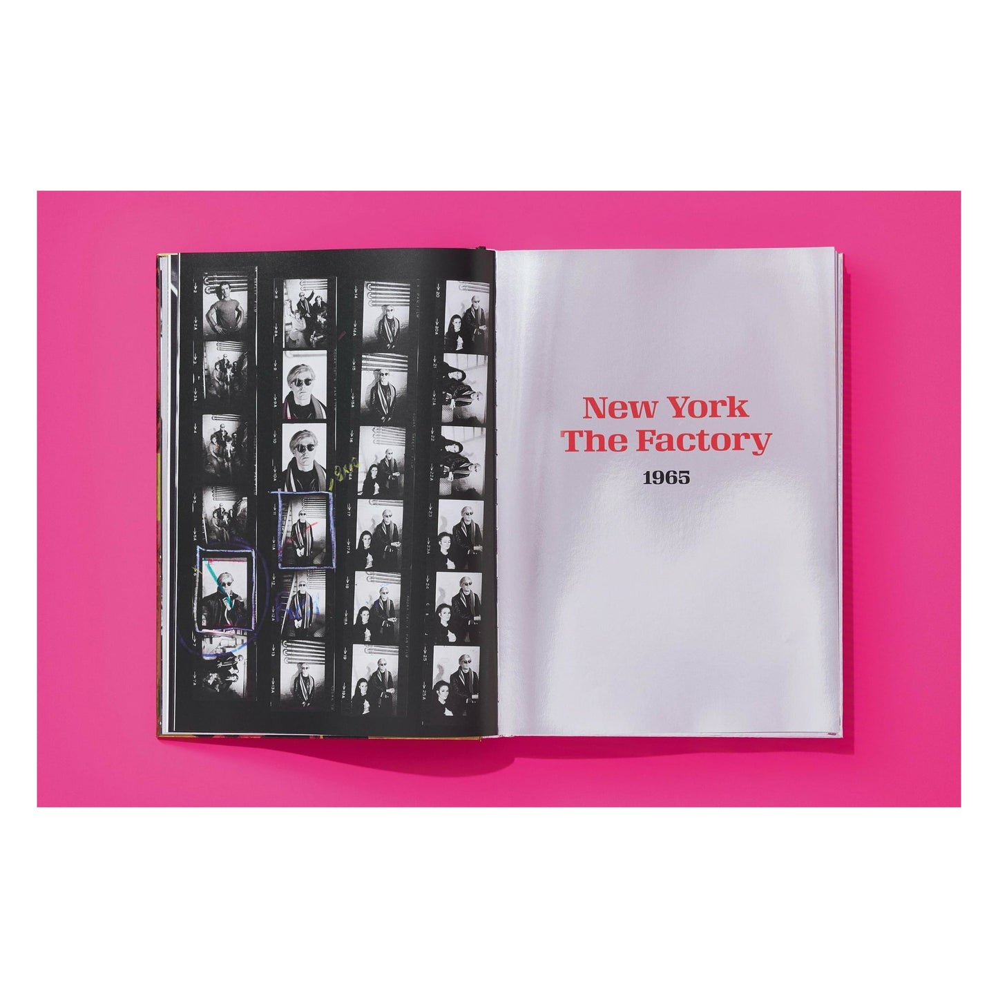 Steve Schapiro. Andy Warhol and Friends. Art Edition No. 1–50 ‘Andy Warhol at the Castle, Los Angeles, 1966’ (English)