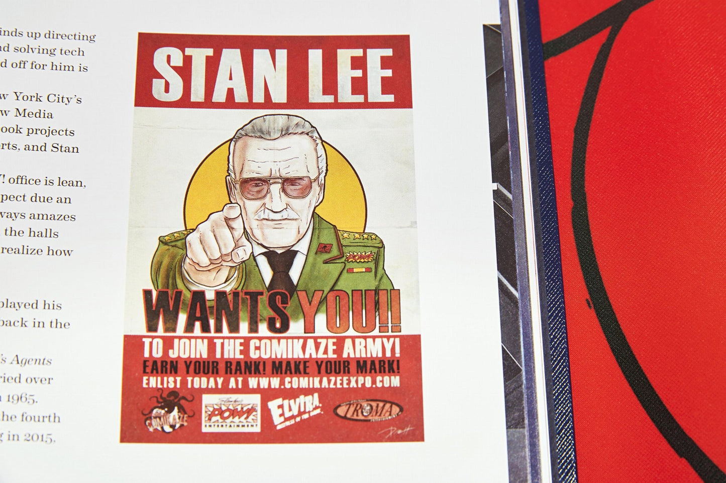 The Stan Lee Story (English)