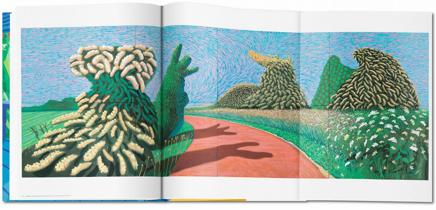 David Hockney. A Bigger Book (English) (AP)