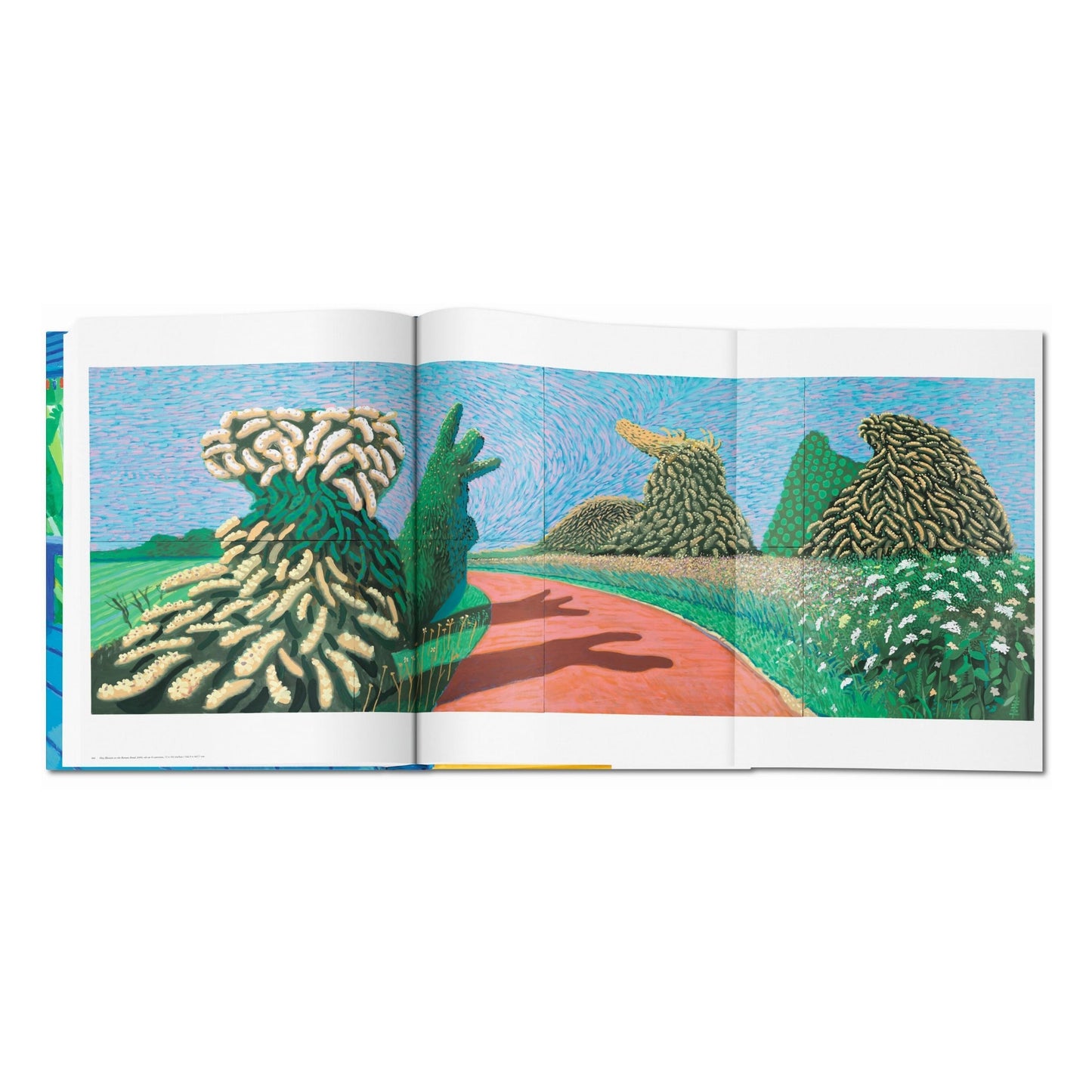 David Hockney. A Bigger Book (English)