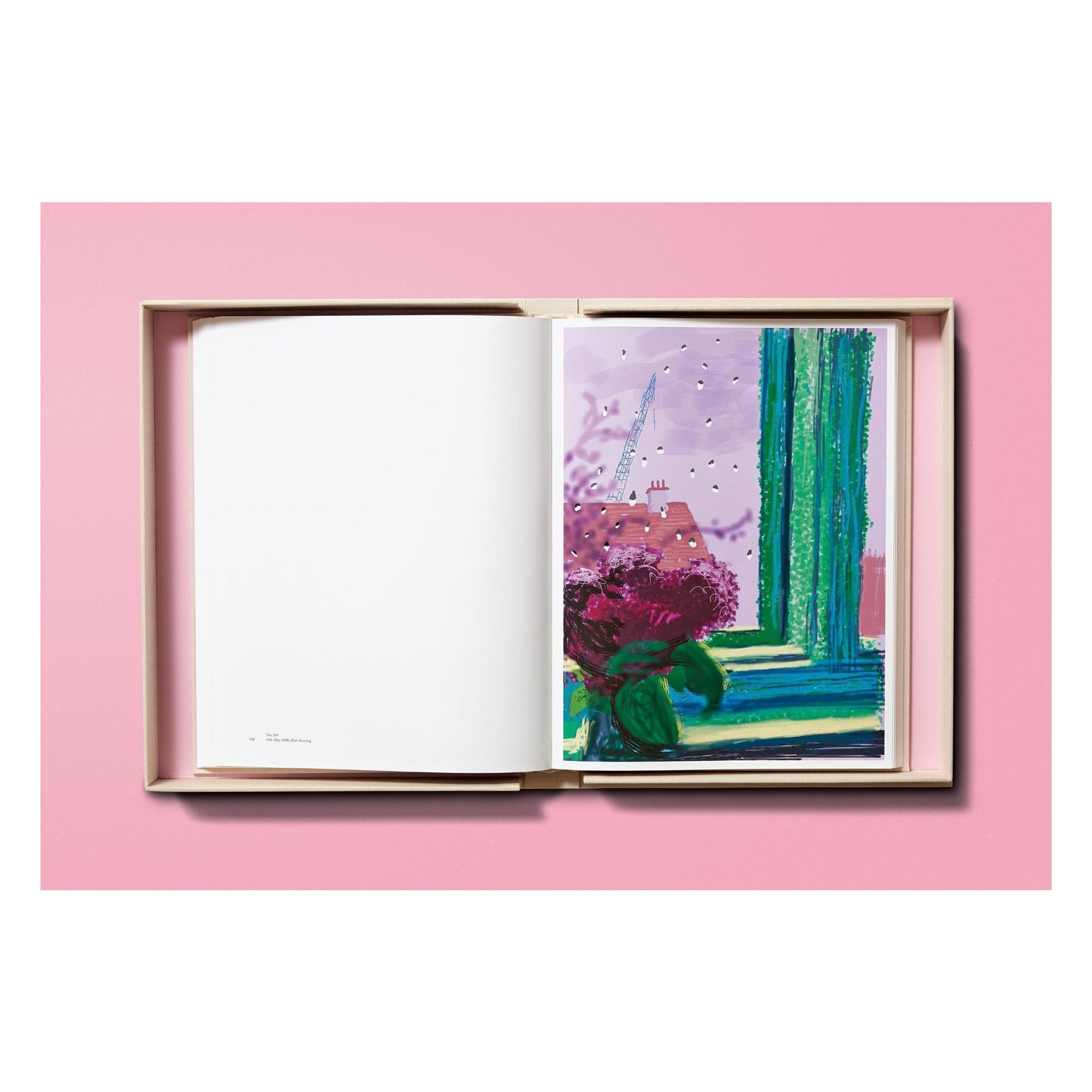 Hockney, My Window, Art A (No.1-250) (English) (AP)