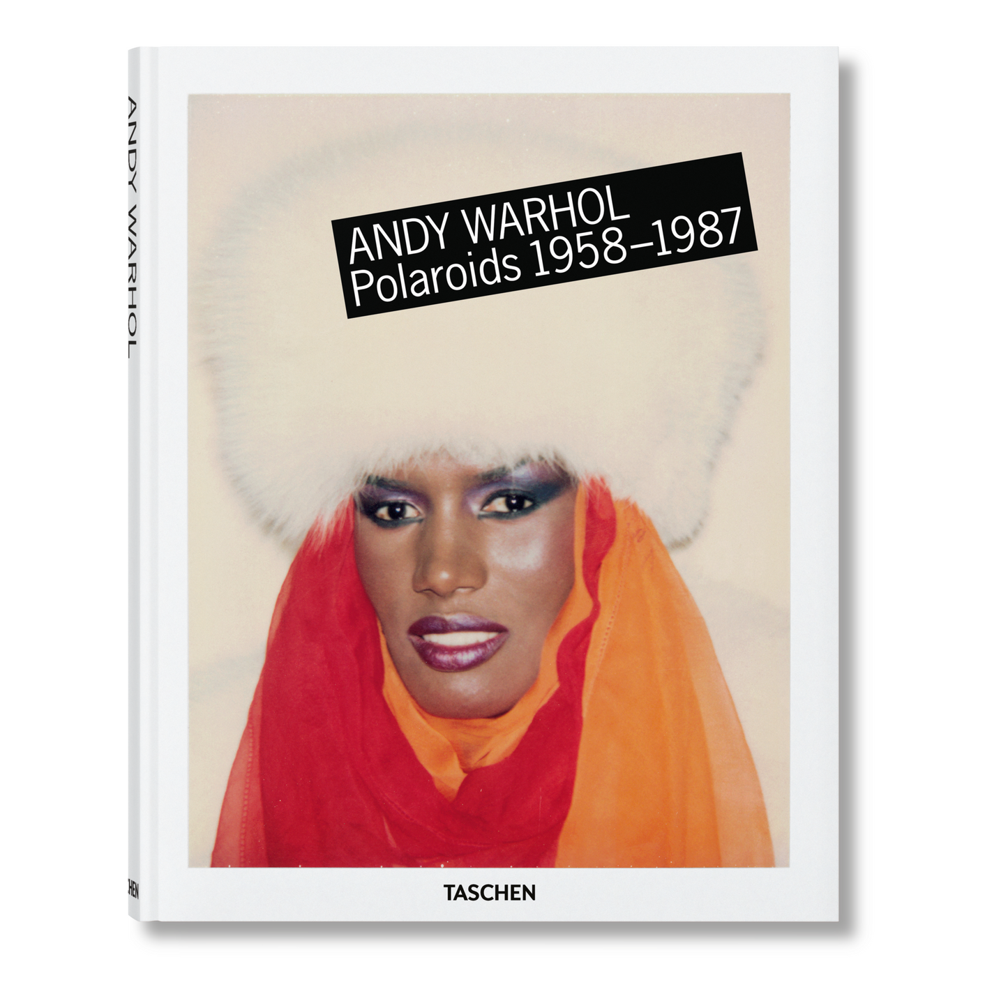 Andy Warhol. Polaroids 1958-1987 (German, French, English)