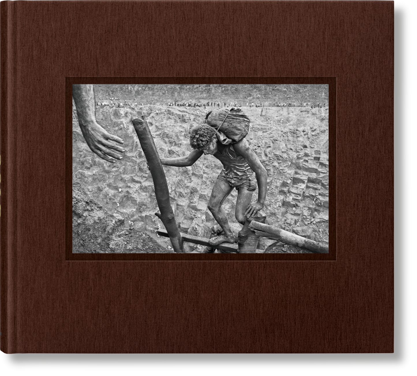 Sebastião Salgado. Gold (English) (SA)