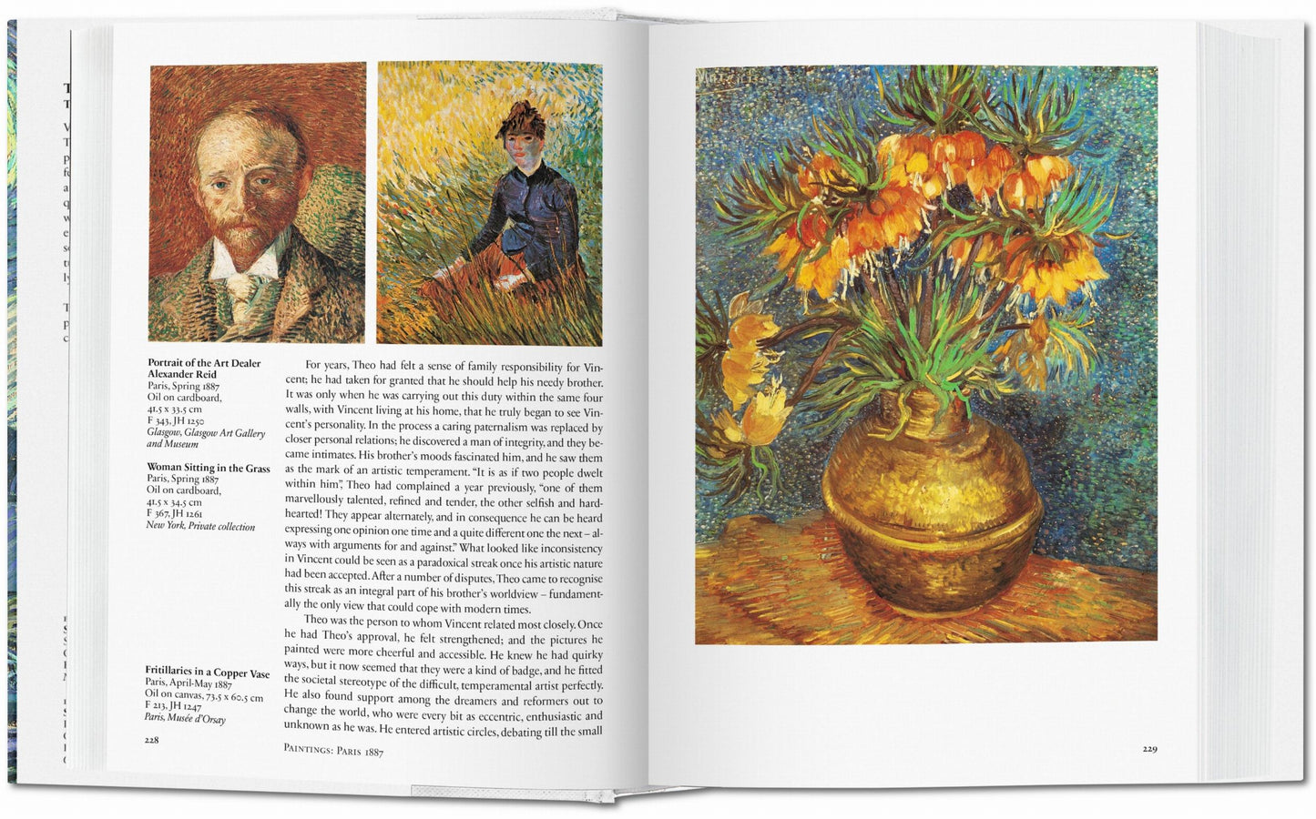 Van Gogh. The Complete Paintings (English)