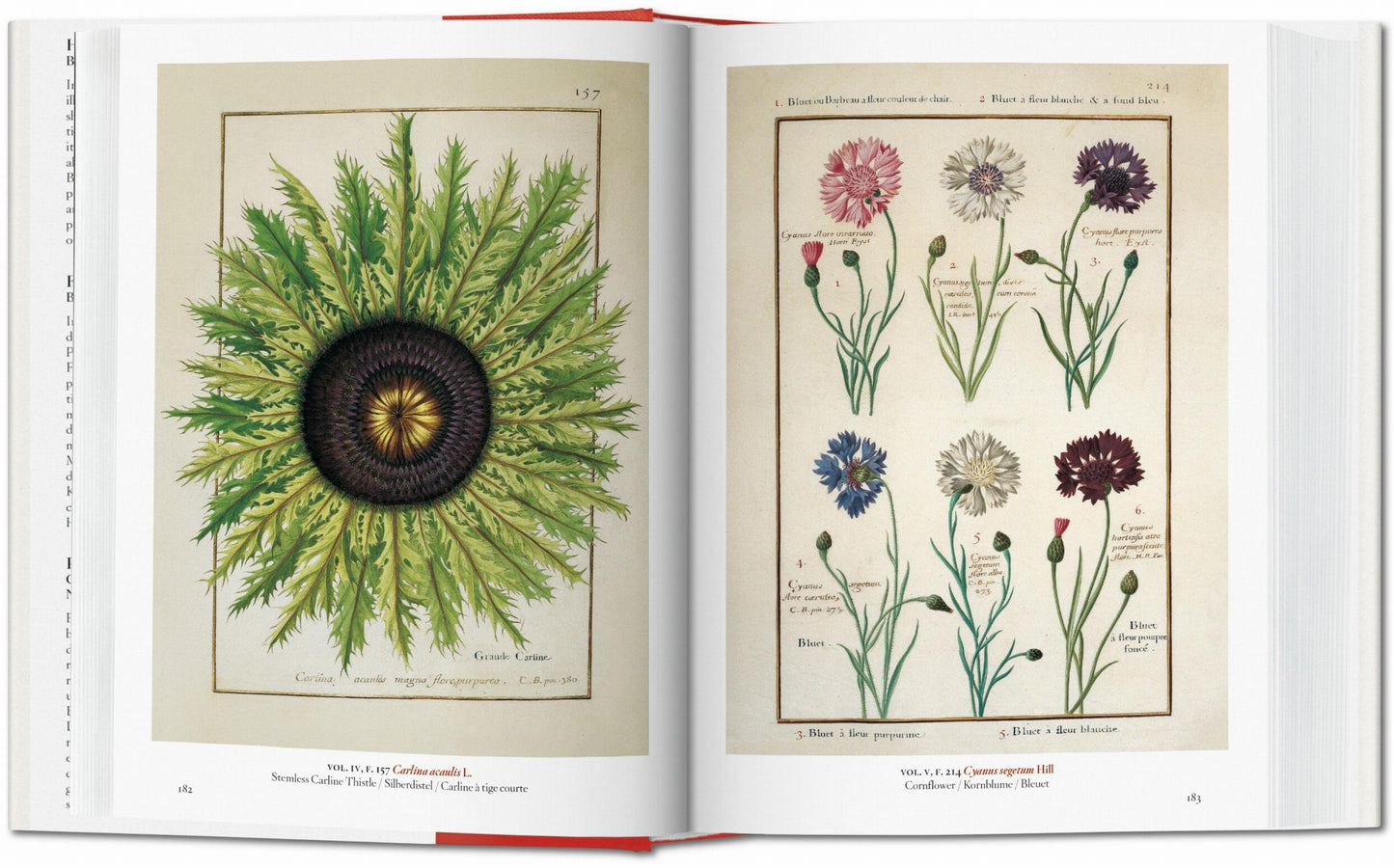 A Garden Eden. Masterpieces of Botanical Illustration. 40th Ed. (German, French, English)