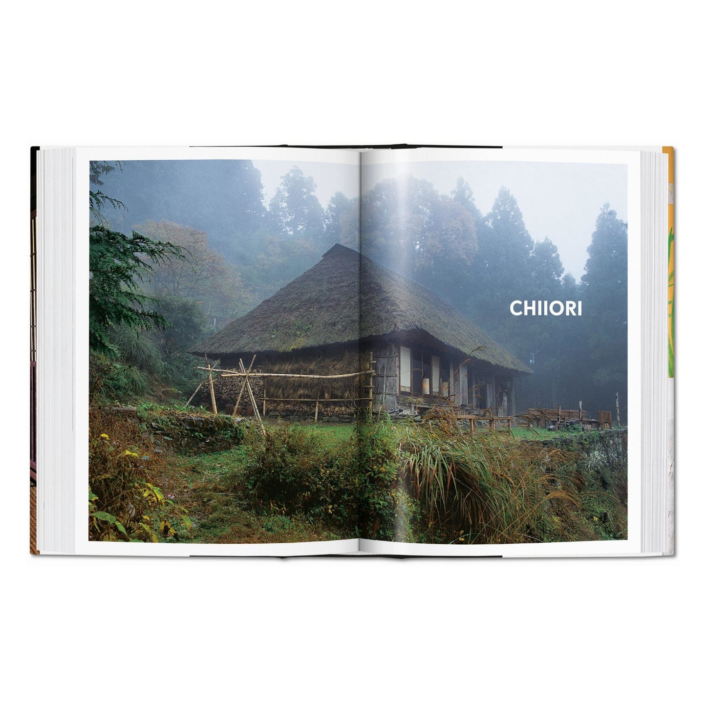 Living in Japan. 45th Ed. (German, French, English)