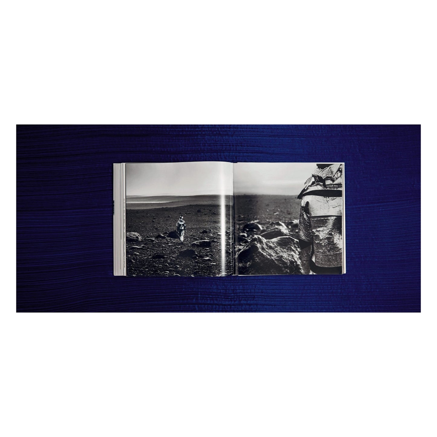 Issey Miyake (English, Japanese) (SA)
