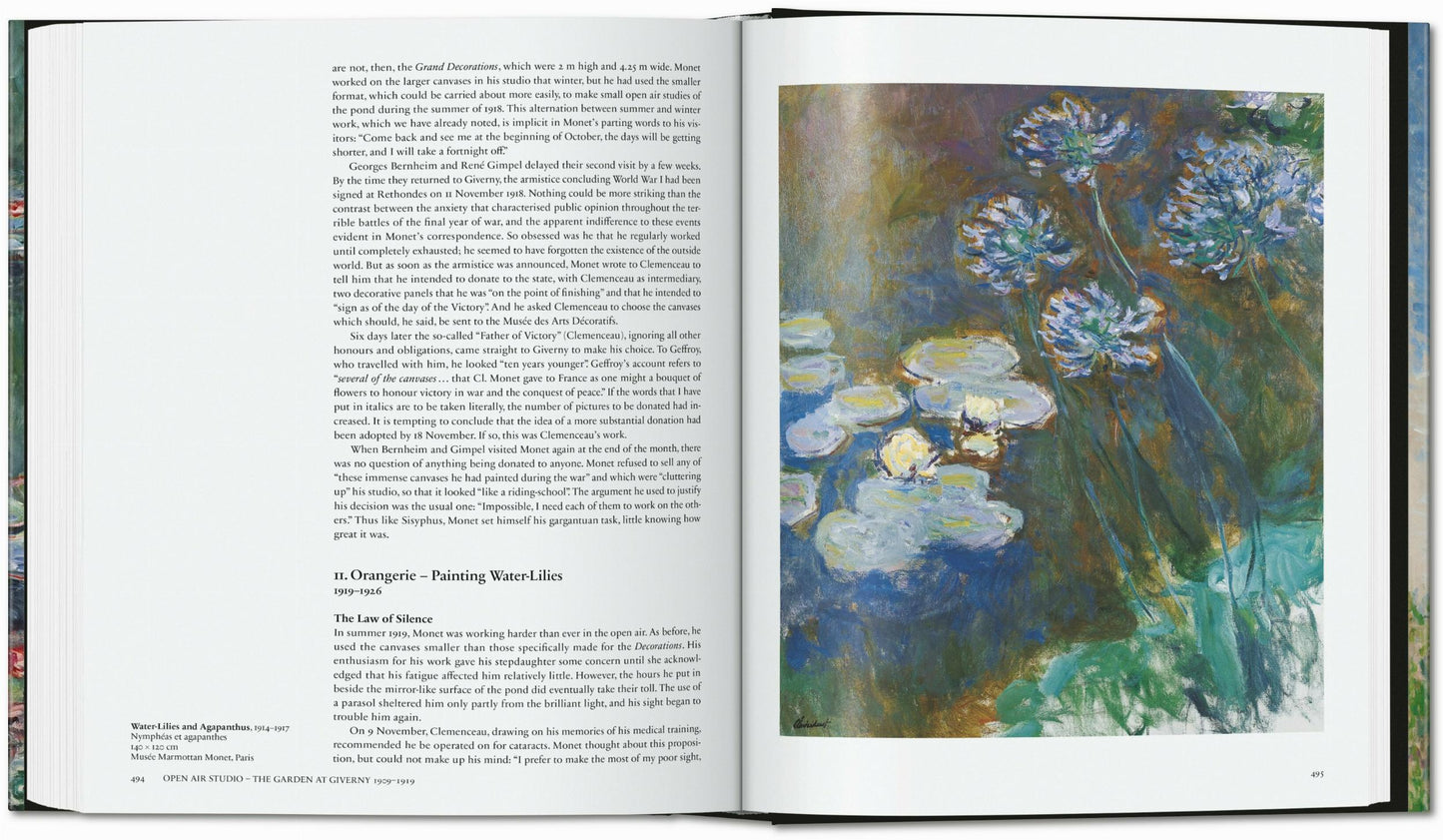 Monet. El triunfo del impresionismo (Spanish)