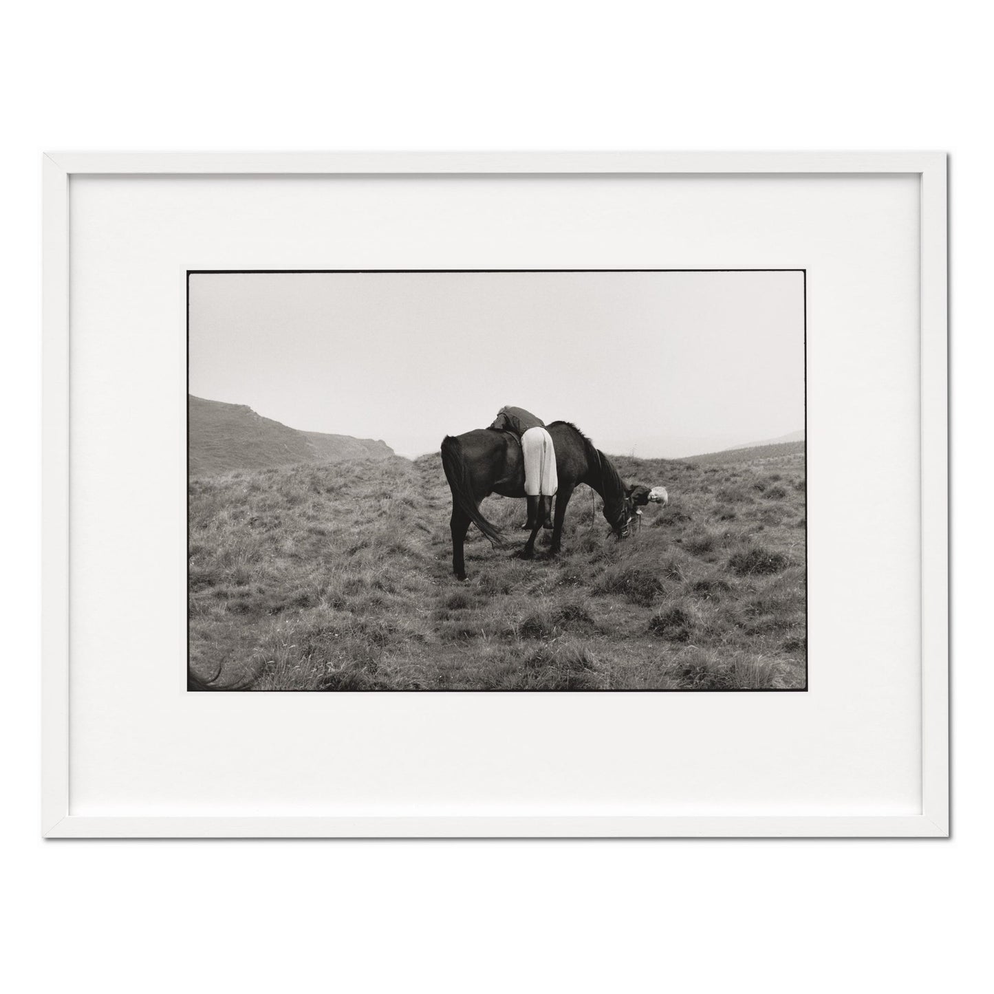 Linda McCartney. Life in Photographs, Art Edition No. 1–125 ‘Horse’ (English) (SA)
