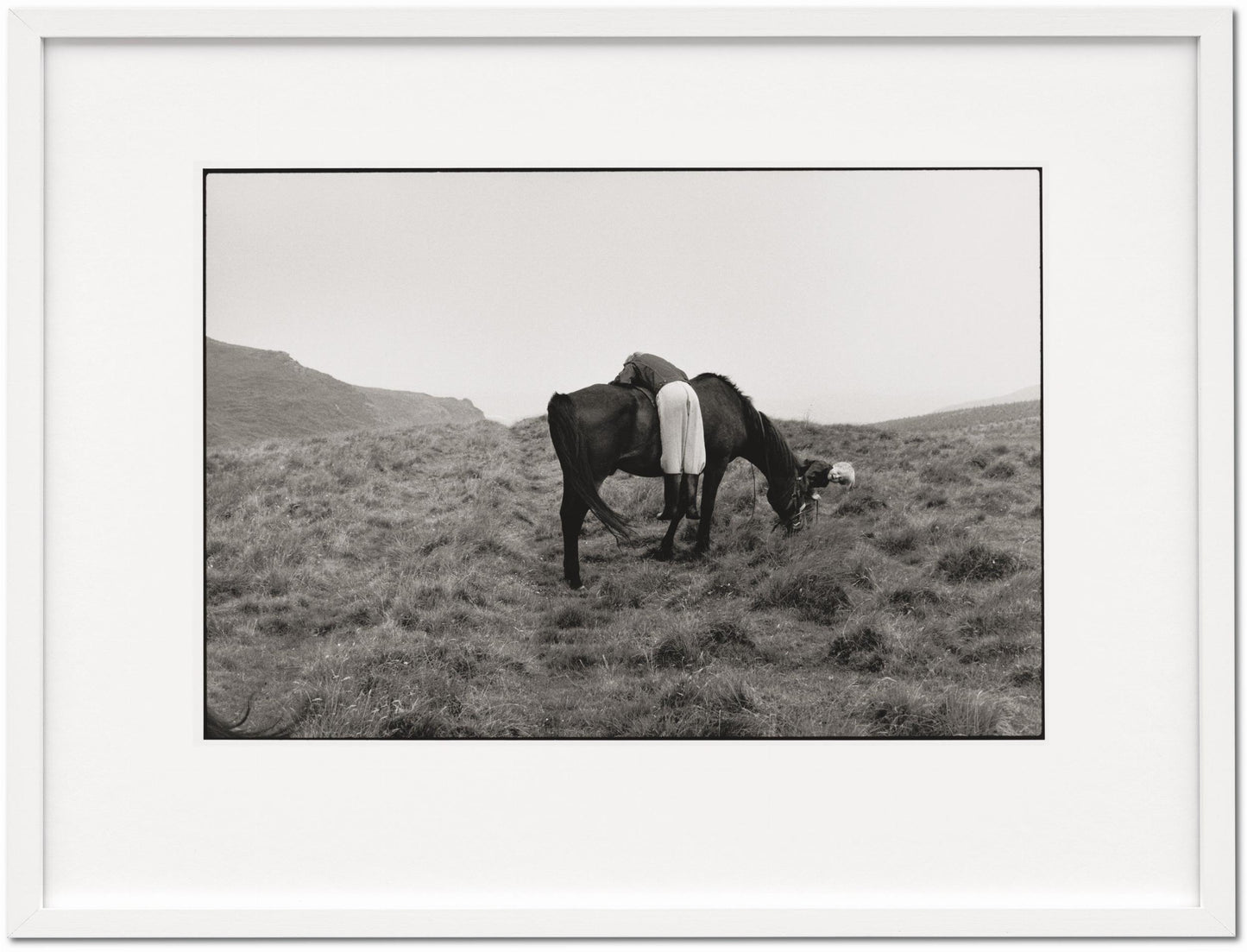 Linda McCartney. Life in Photographs, Art Edition No. 1–125 ‘Horse’ (English) (AP)