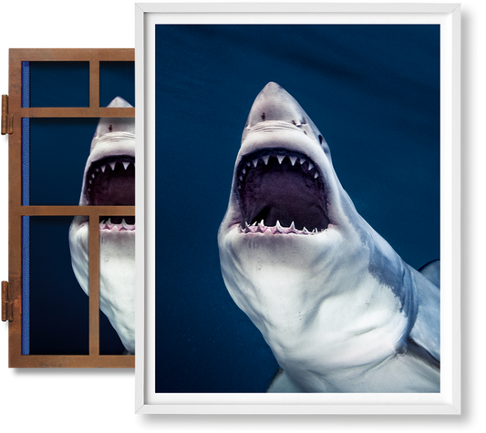 Michael Muller. Sharks, Art Edition No. 1–100 ‘Tear You Apart’ (English)