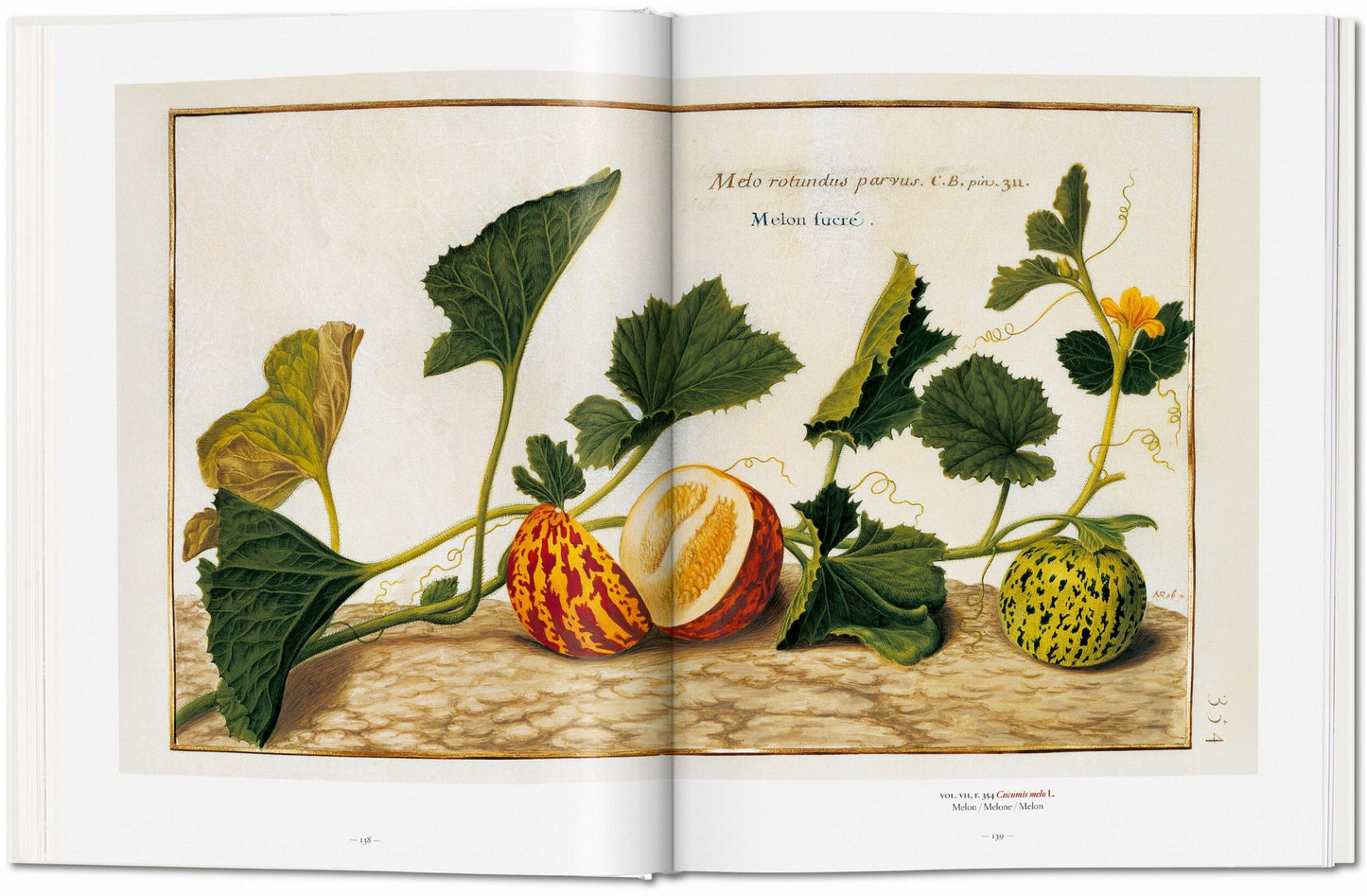 A Garden Eden. Masterpieces of Botanical Illustration (German, French, English)