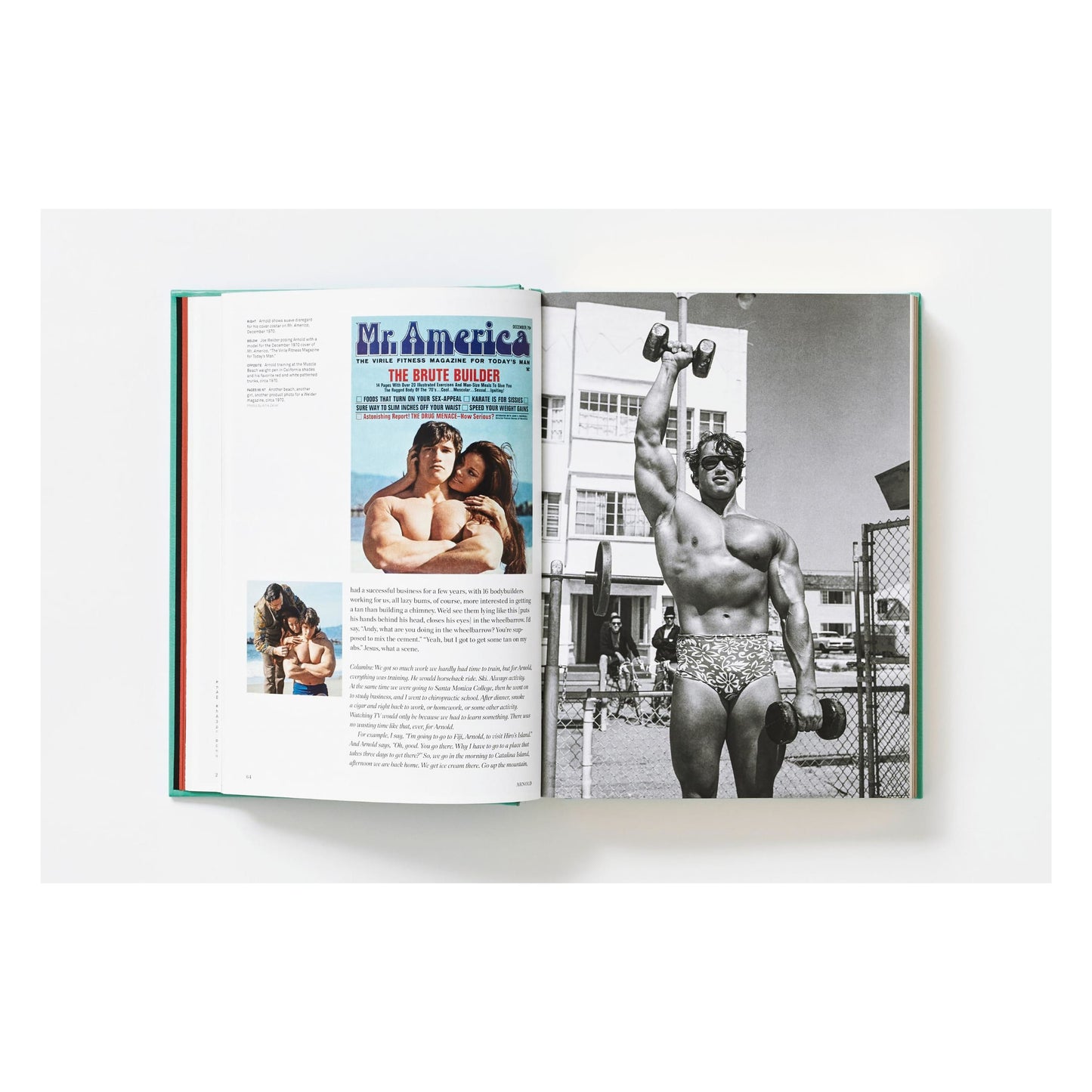 ARNOLD. Collector's Edition (English) (AP)