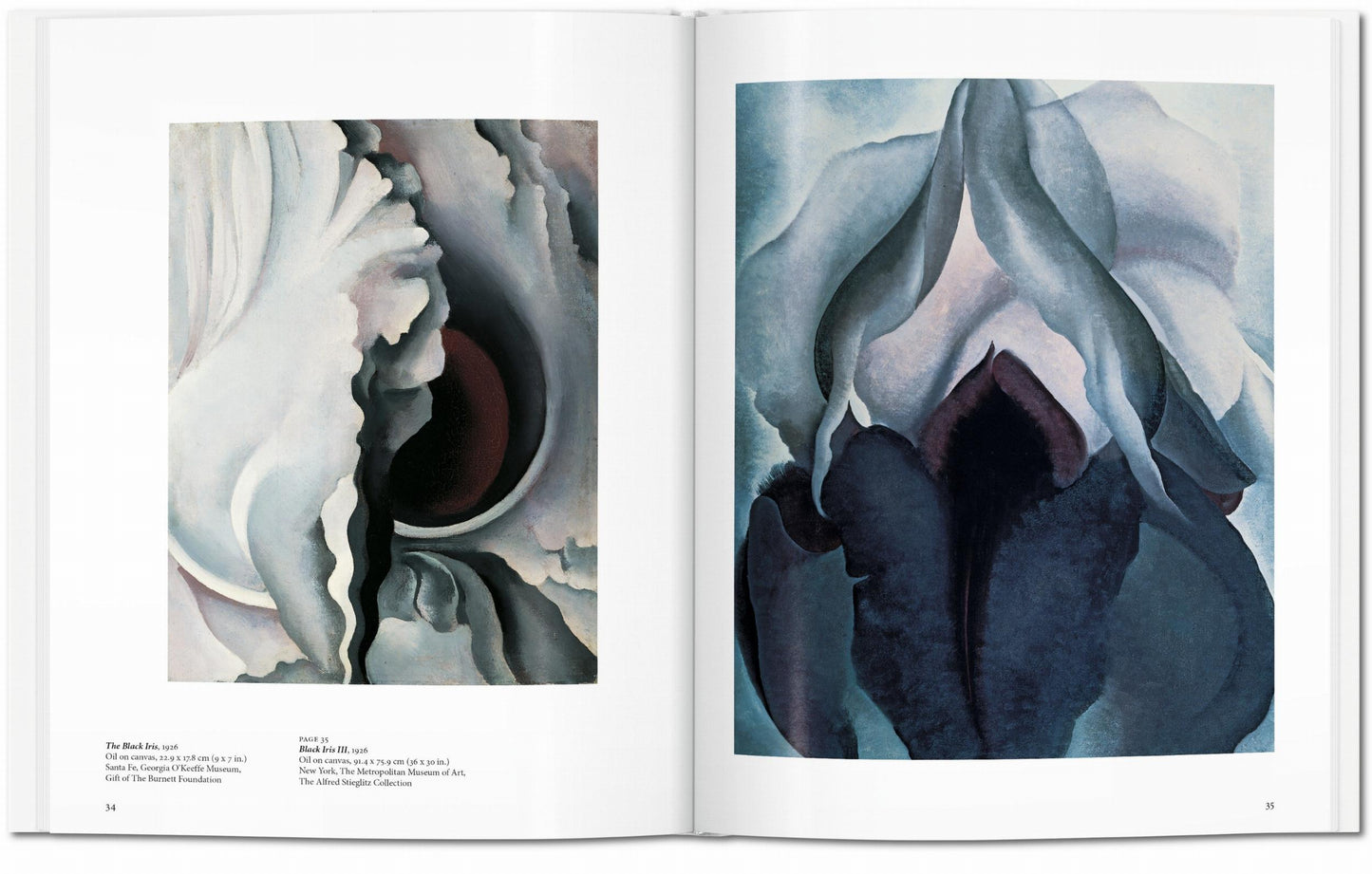 O'Keeffe (Spanish)