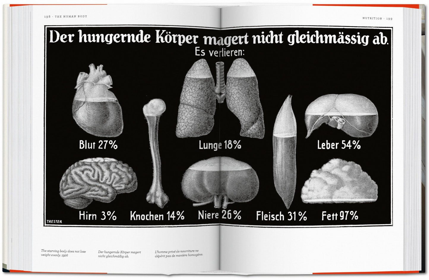 Fritz Kahn. Infographics Pioneer (Spanish, English, Italian)