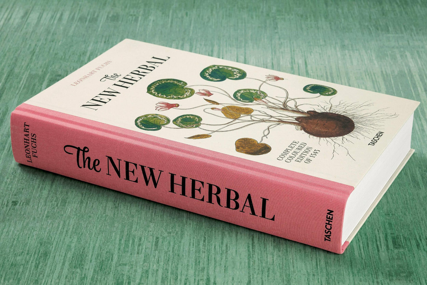 Leonhart Fuchs. The New Herbal (English)