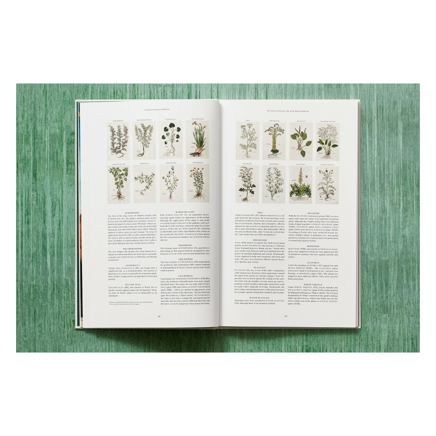 Leonhart Fuchs. The New Herbal (English)