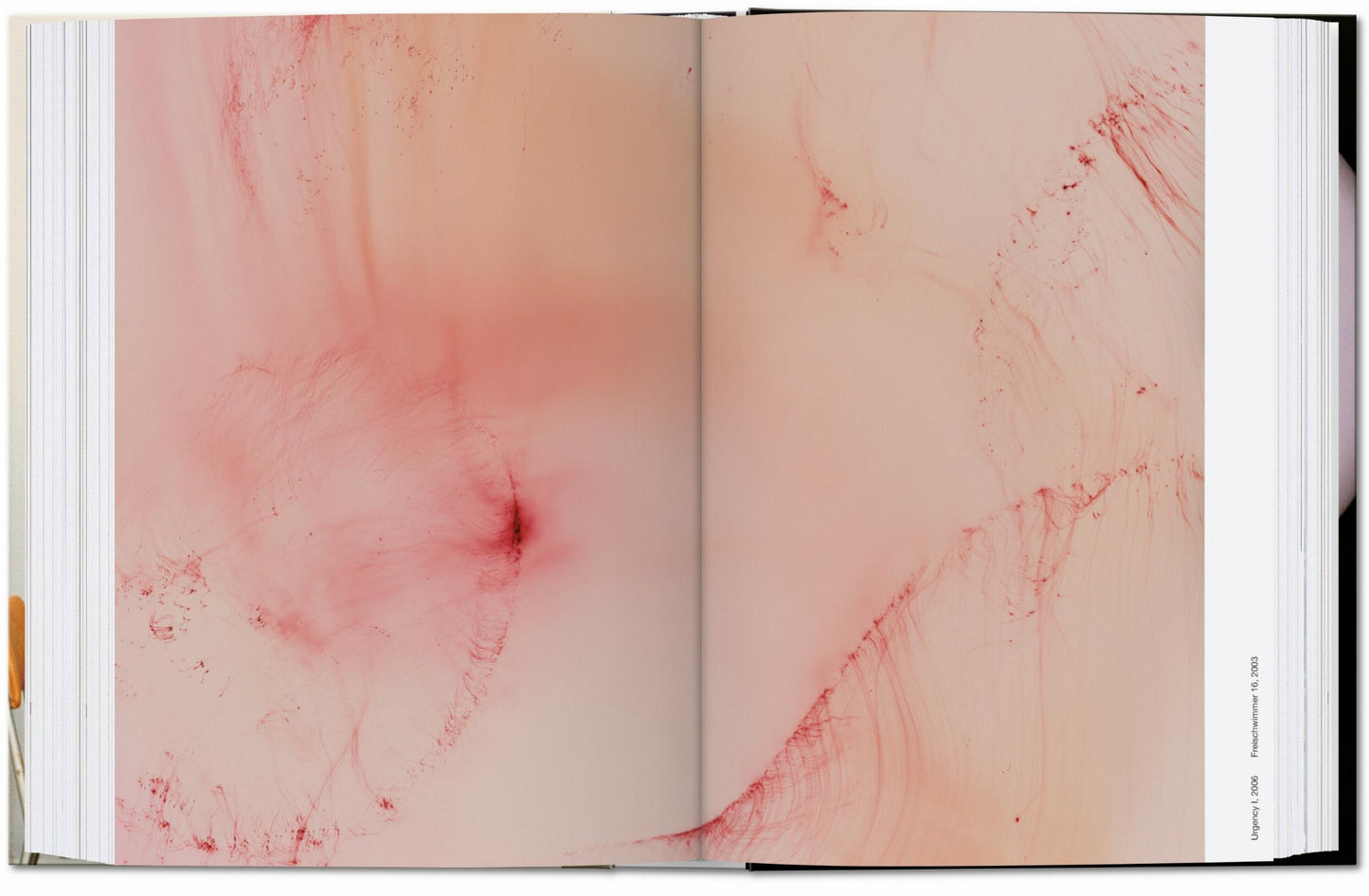 Wolfgang Tillmans. four books. 40th Ed. (English)