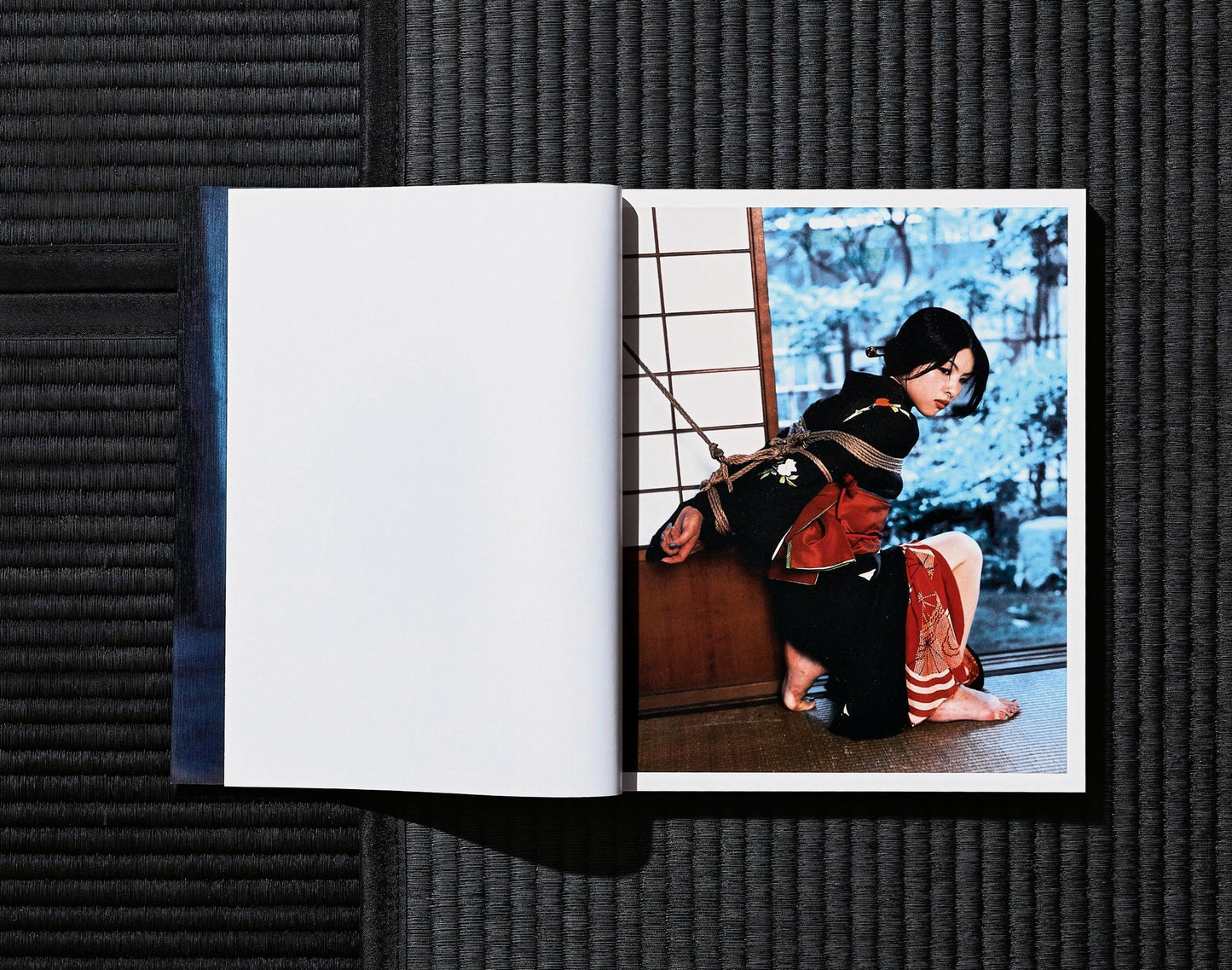 Nobuyoshi Araki. Bondage (German, French, English) (AP)