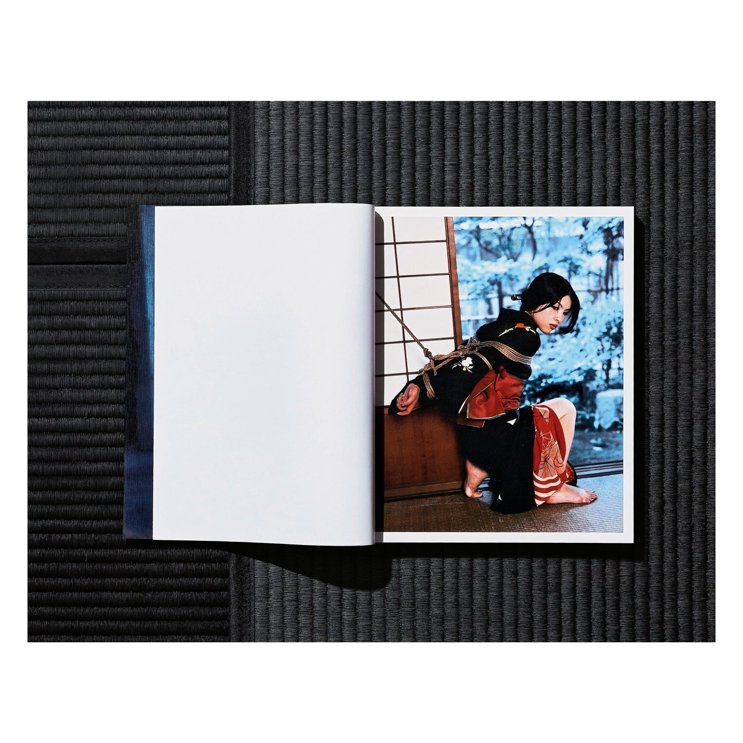 Araki. Bondage (German, French, English)