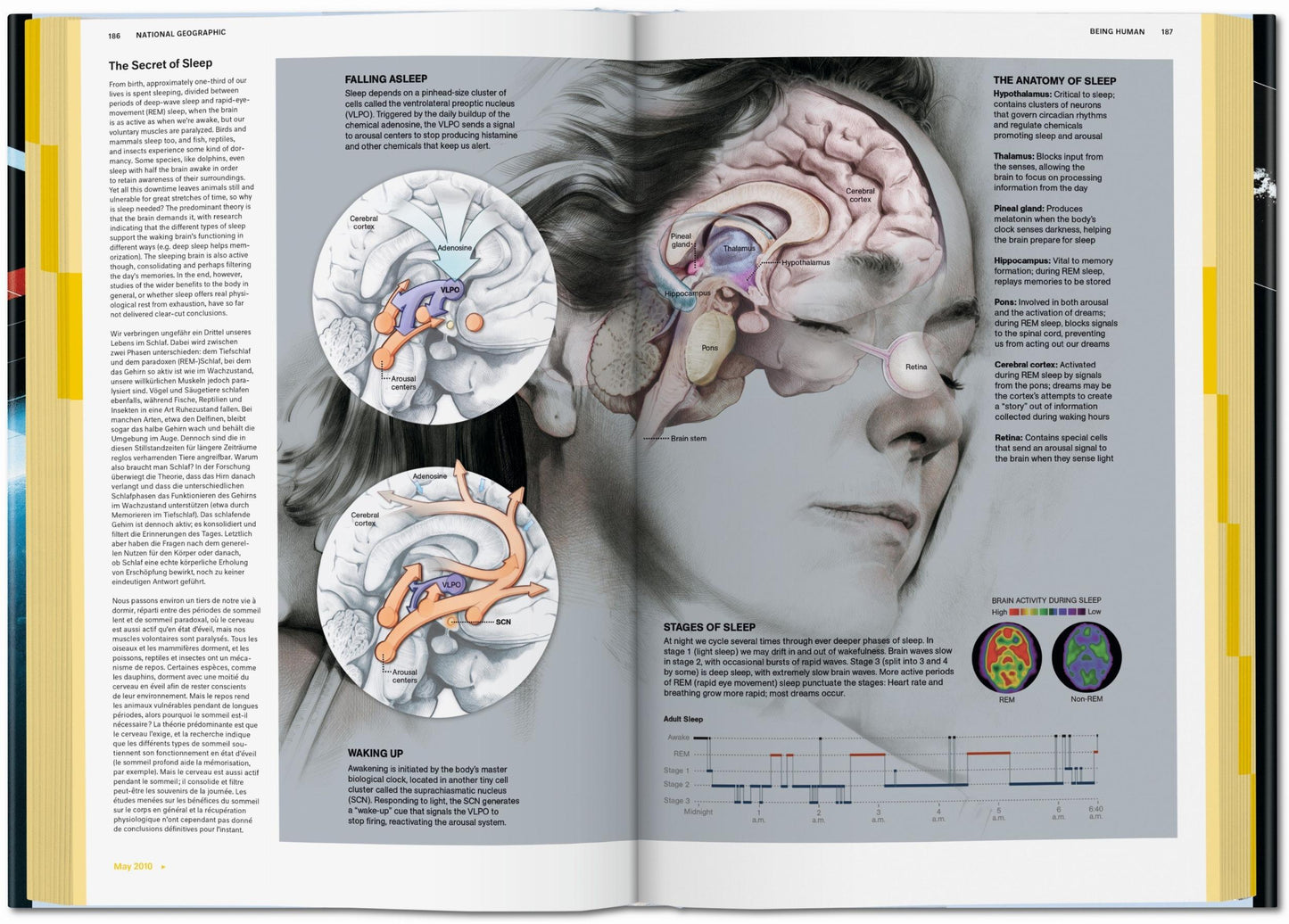 National Geographic Infographics (Spanish, Italian, Portuguese)