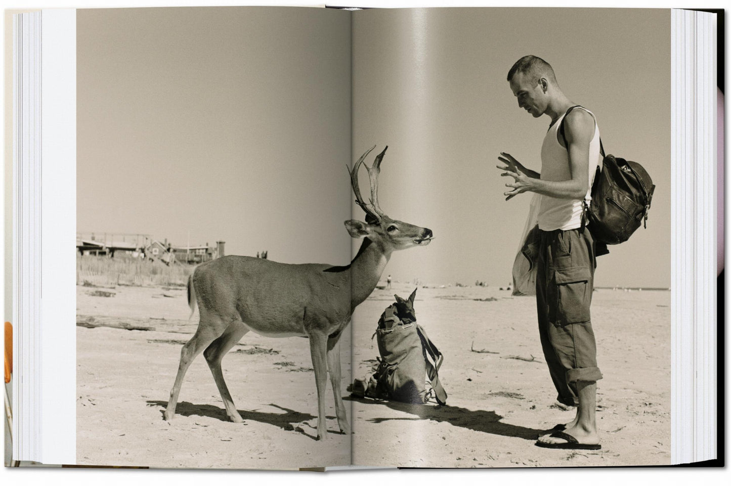 Wolfgang Tillmans. four books. 40th Ed. (English)