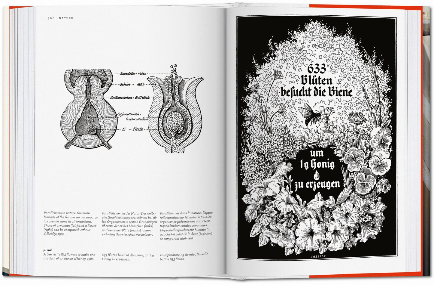 Fritz Kahn. Infographics Pioneer (Spanish, English, Italian)