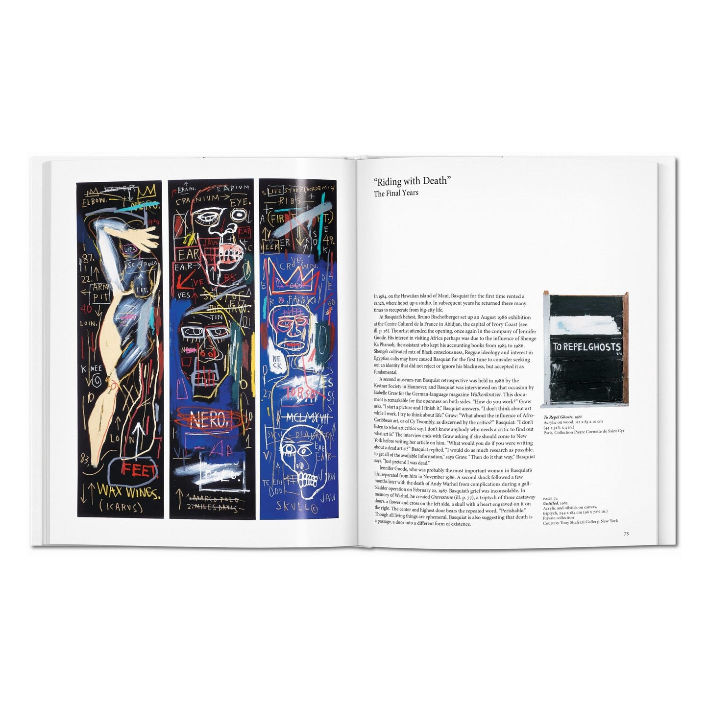 Basquiat (English)