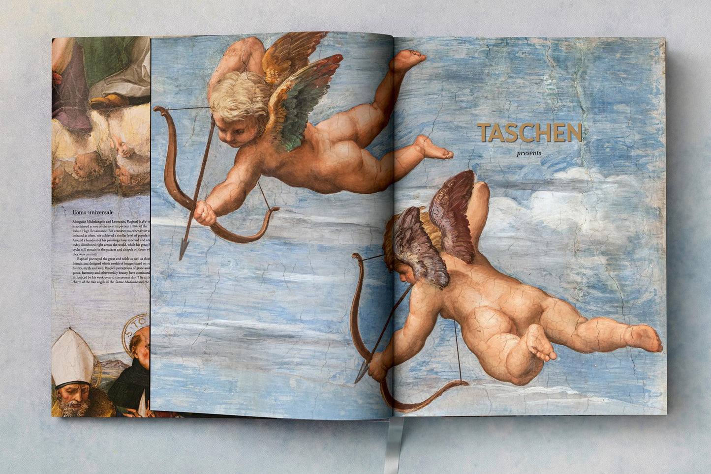 Raphael. The Complete Works. Paintings, Frescoes, Tapestries, Architecture (English)