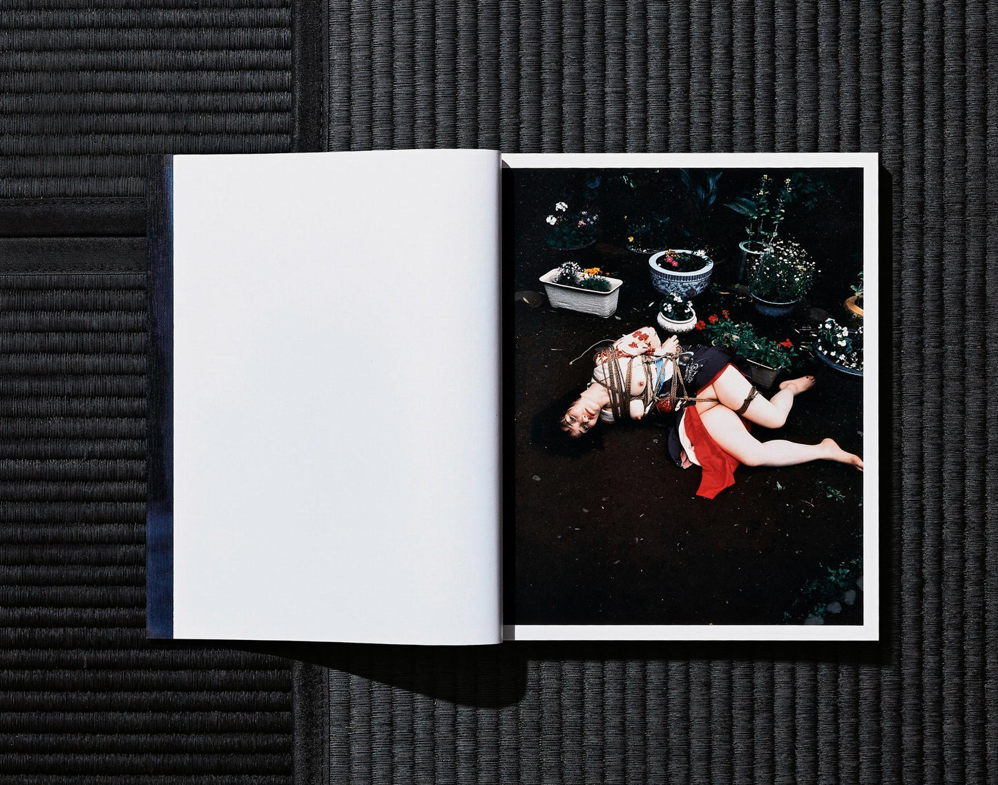 Nobuyoshi Araki. Bondage (German, French, English) (AP)