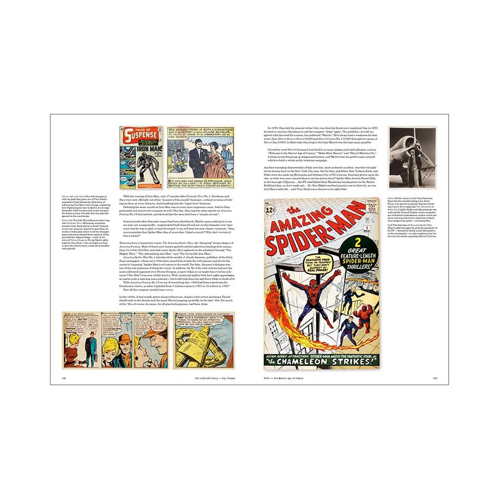 The Stan Lee Story (English)